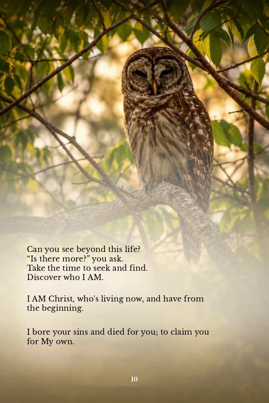 Page 10