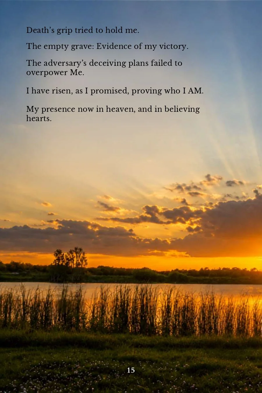 Page 15