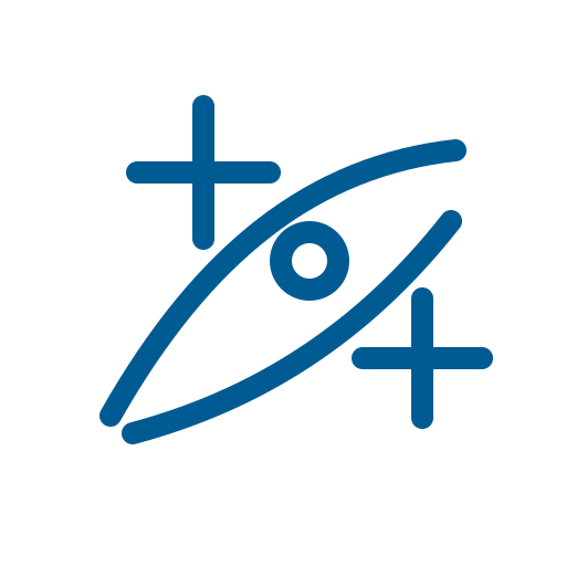 Flexible application icon