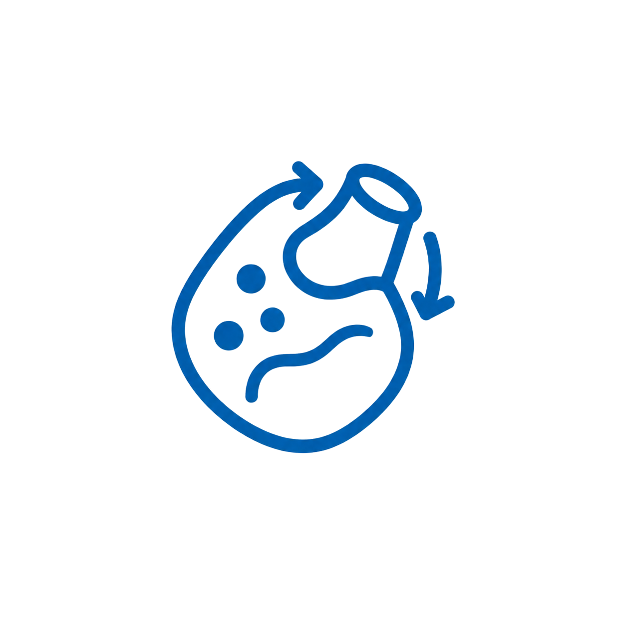 Flexible application icon