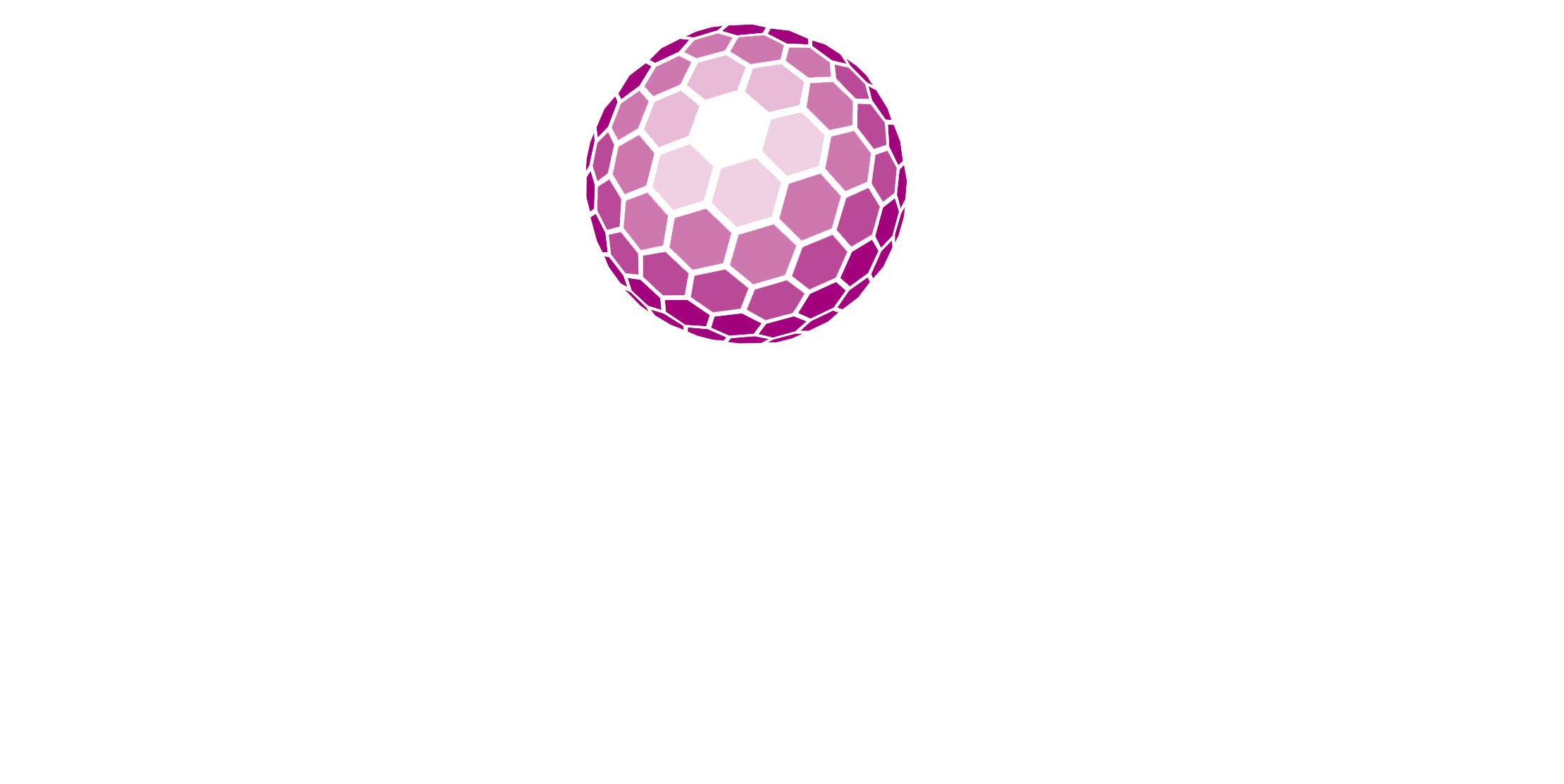 NanoBone logo
