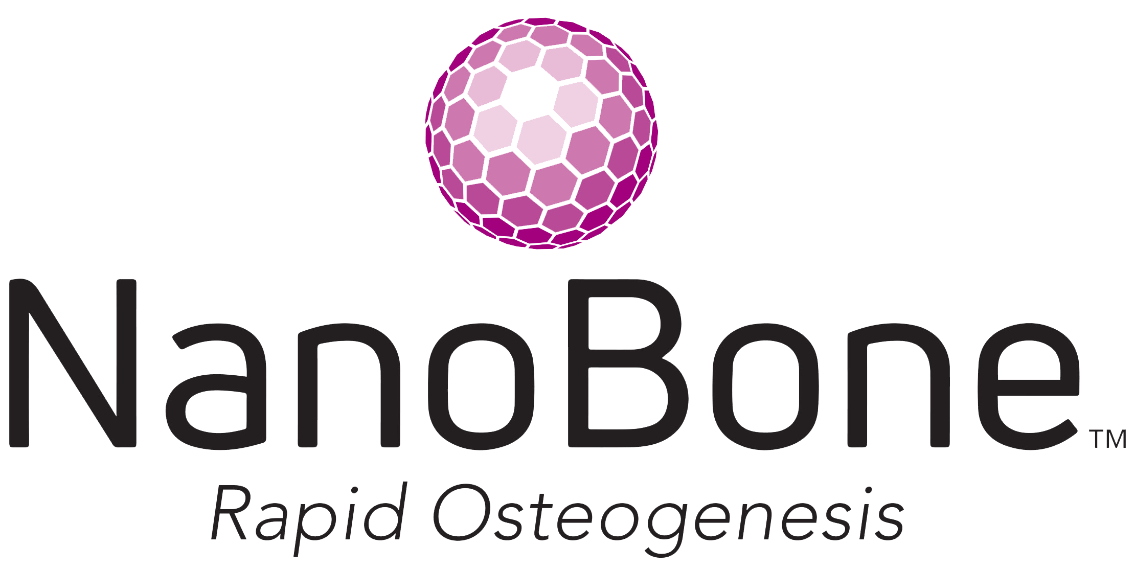 NanoBone logo