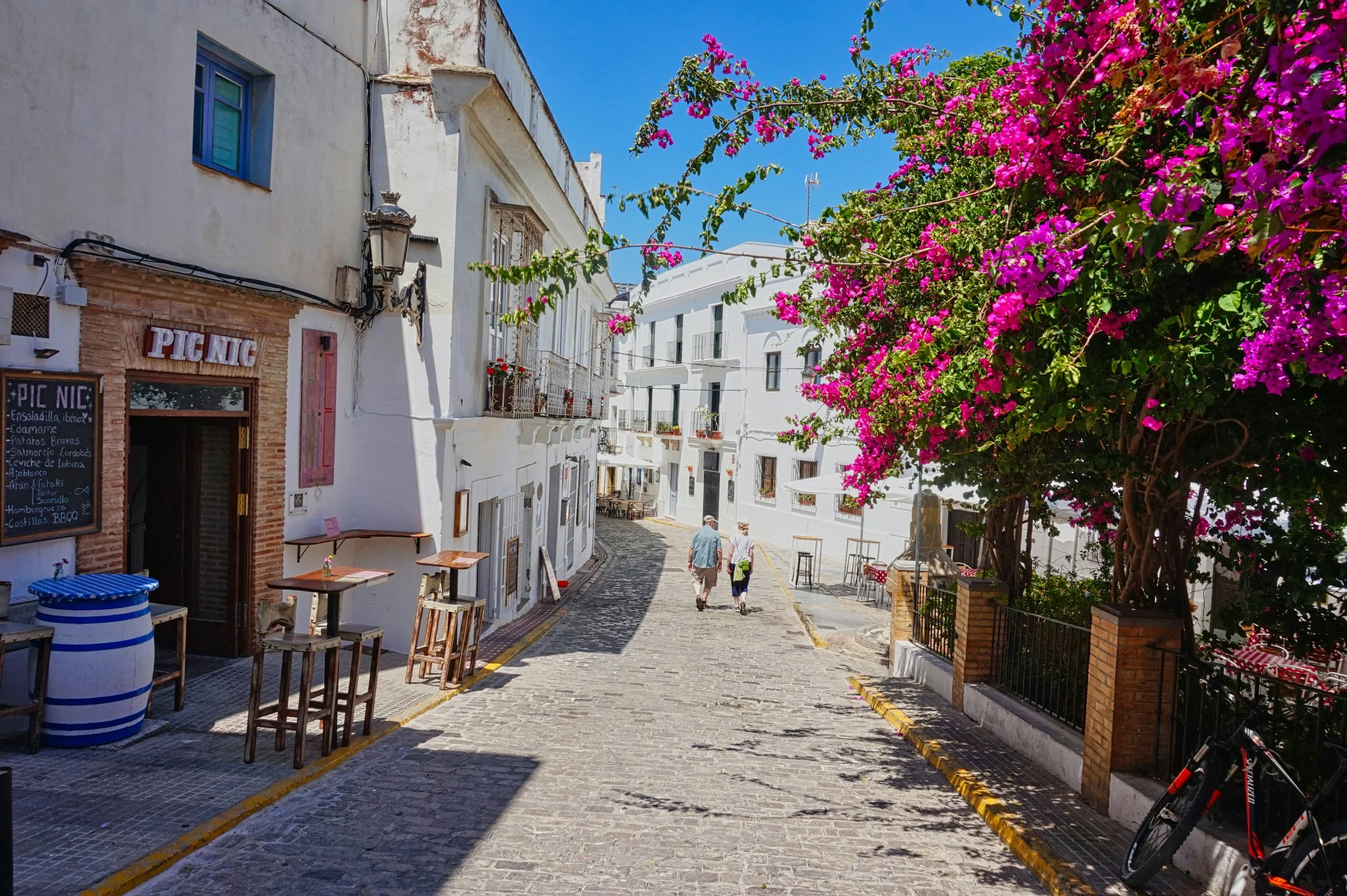 Spring flowers and whitewashed buildings in Andalusia