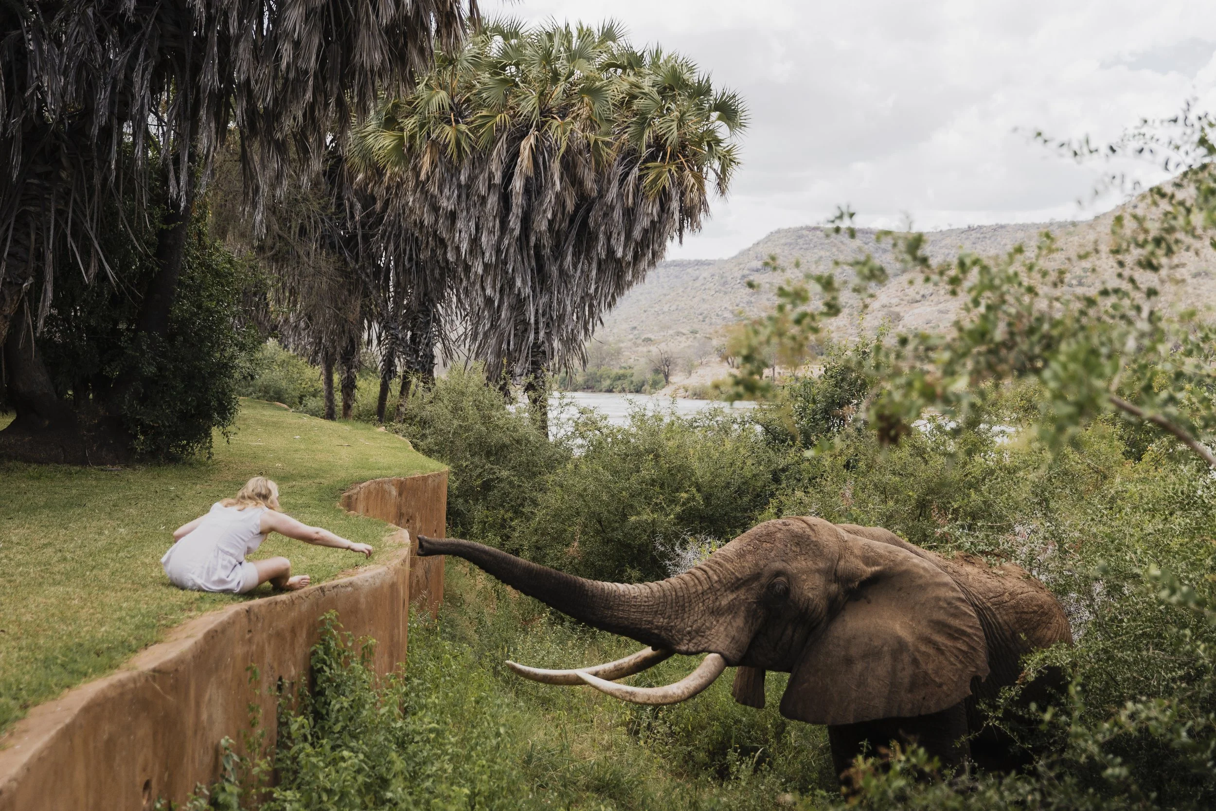 A yoga safari morning in the Kenyan wild