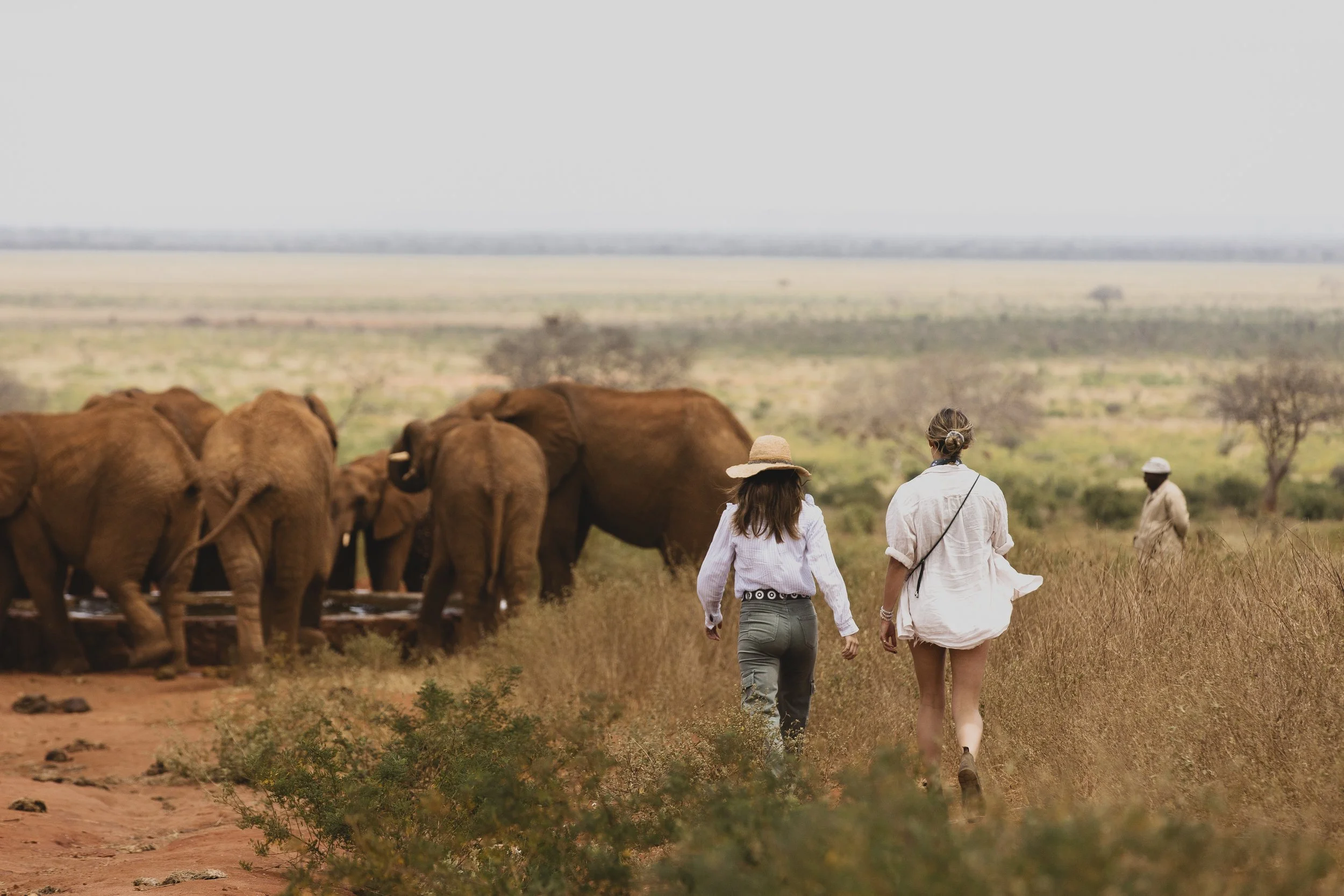Red elephants of Tsavo, Sheldrick Wildlife Trust Orphans Kenya