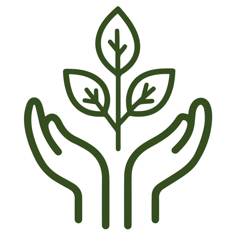 plan icon