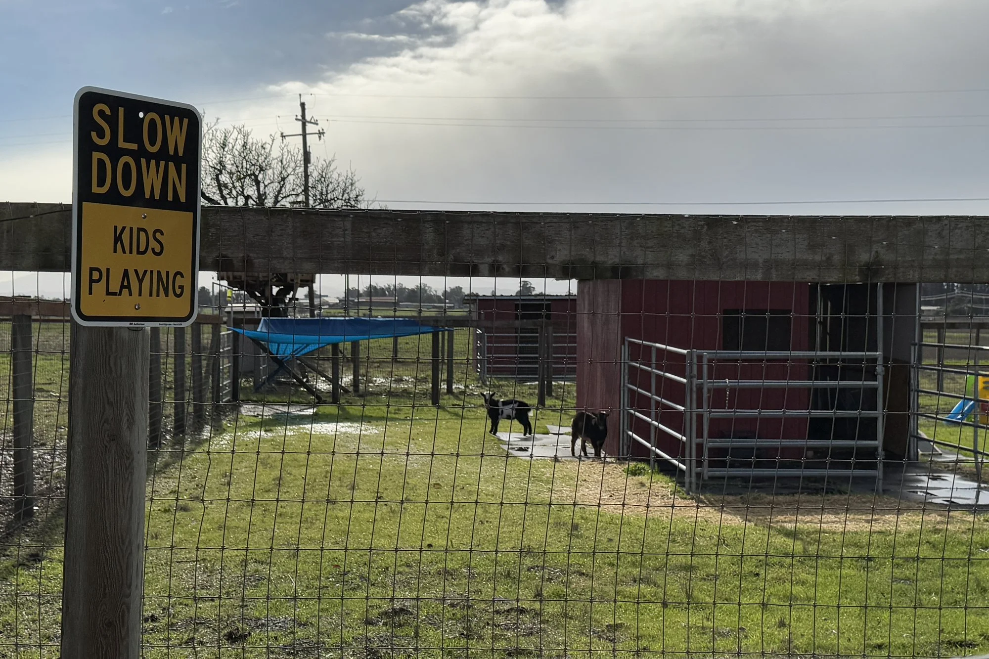 Pasture and barn at Bud's Custom Meats in rural Penngrove