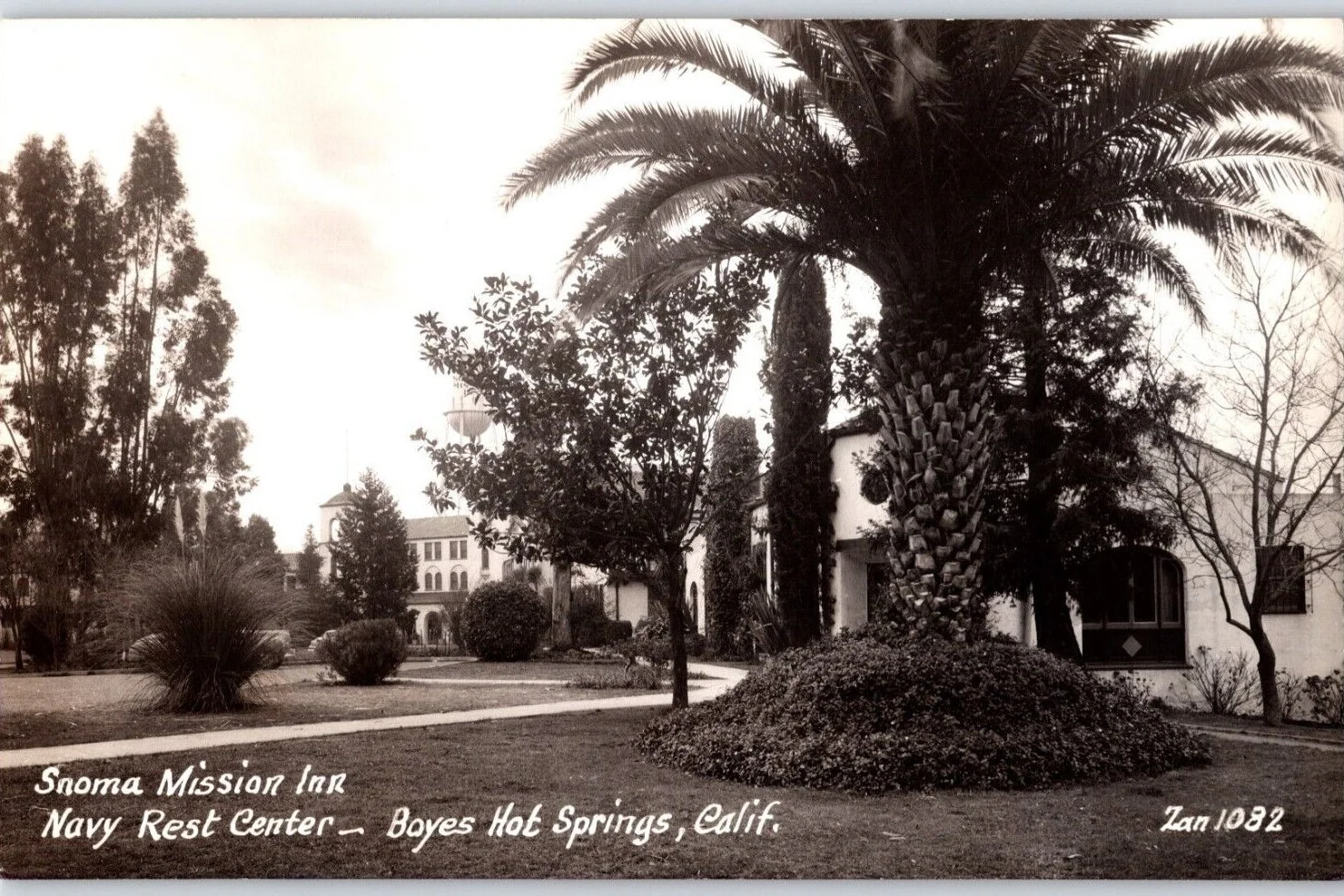 Historic real-photo postcard of the Sonoma Mission Inn grounds and palm tree in Boyes Hot Springs