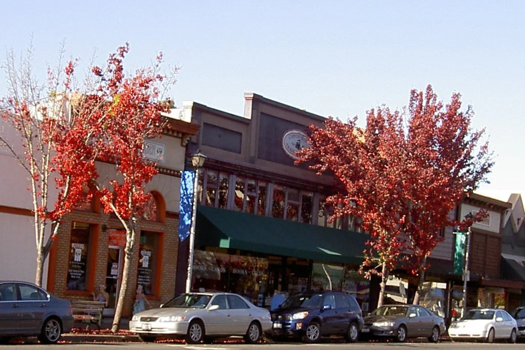Shops along Main Street in downtown Sebastopol