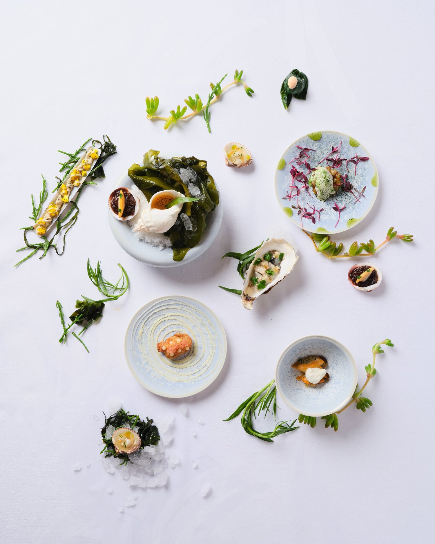 Seafood course at Sketch, The Lecture Room and Library, London - photograph by Claude Okamoto