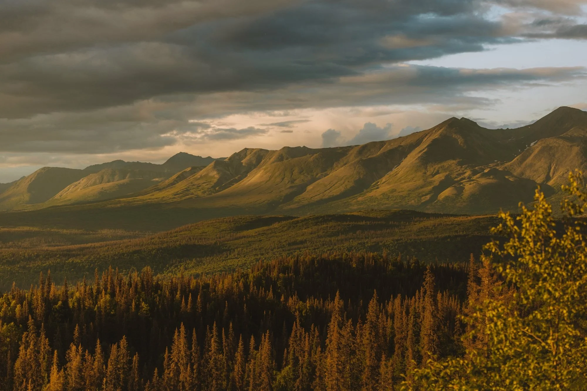Warm light moving across a mountain range above a dense forest.