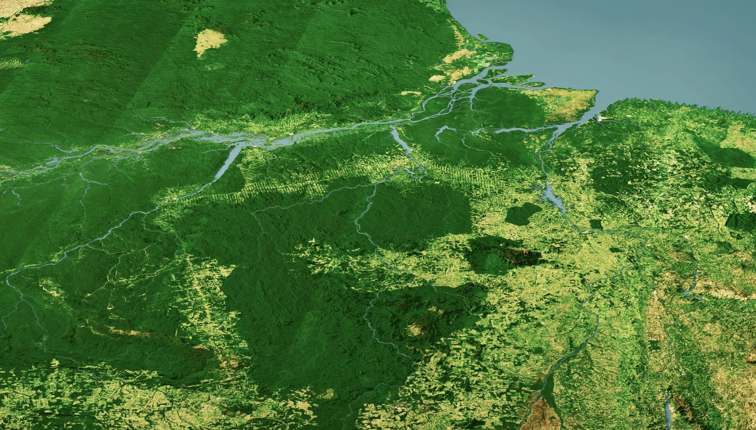 Aerial view of rainforest and a winding river