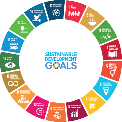UN Sustainable Development Goals