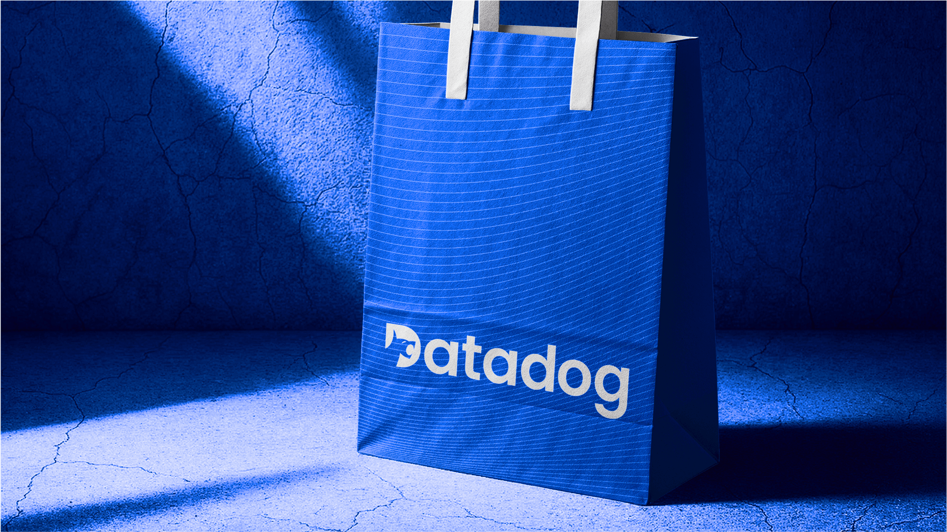 Data Dog project frame