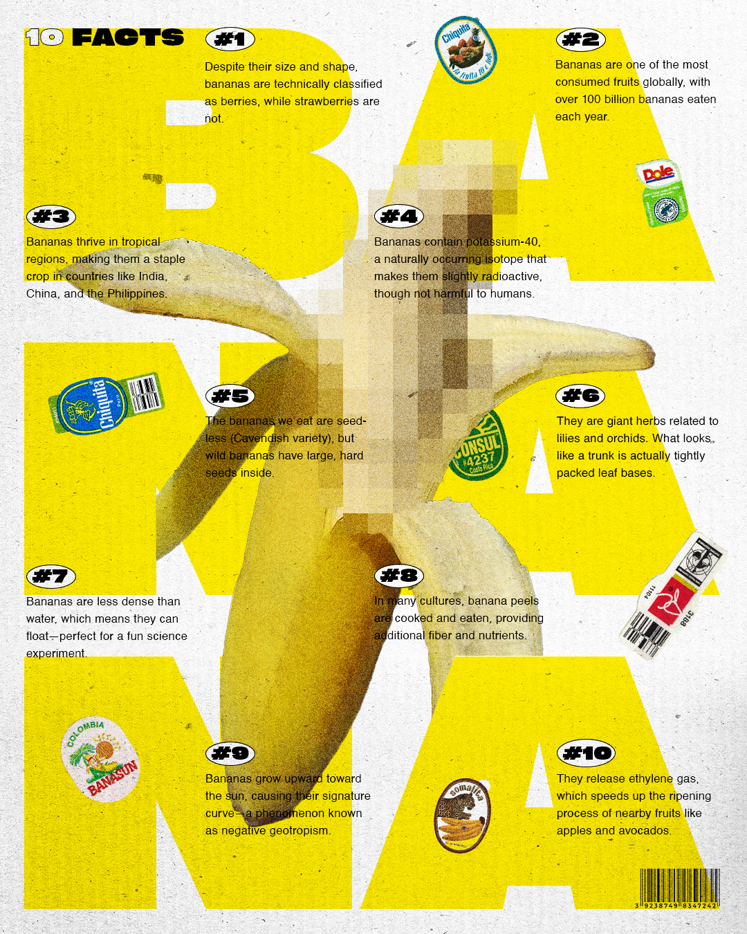 Banana Facts Poster