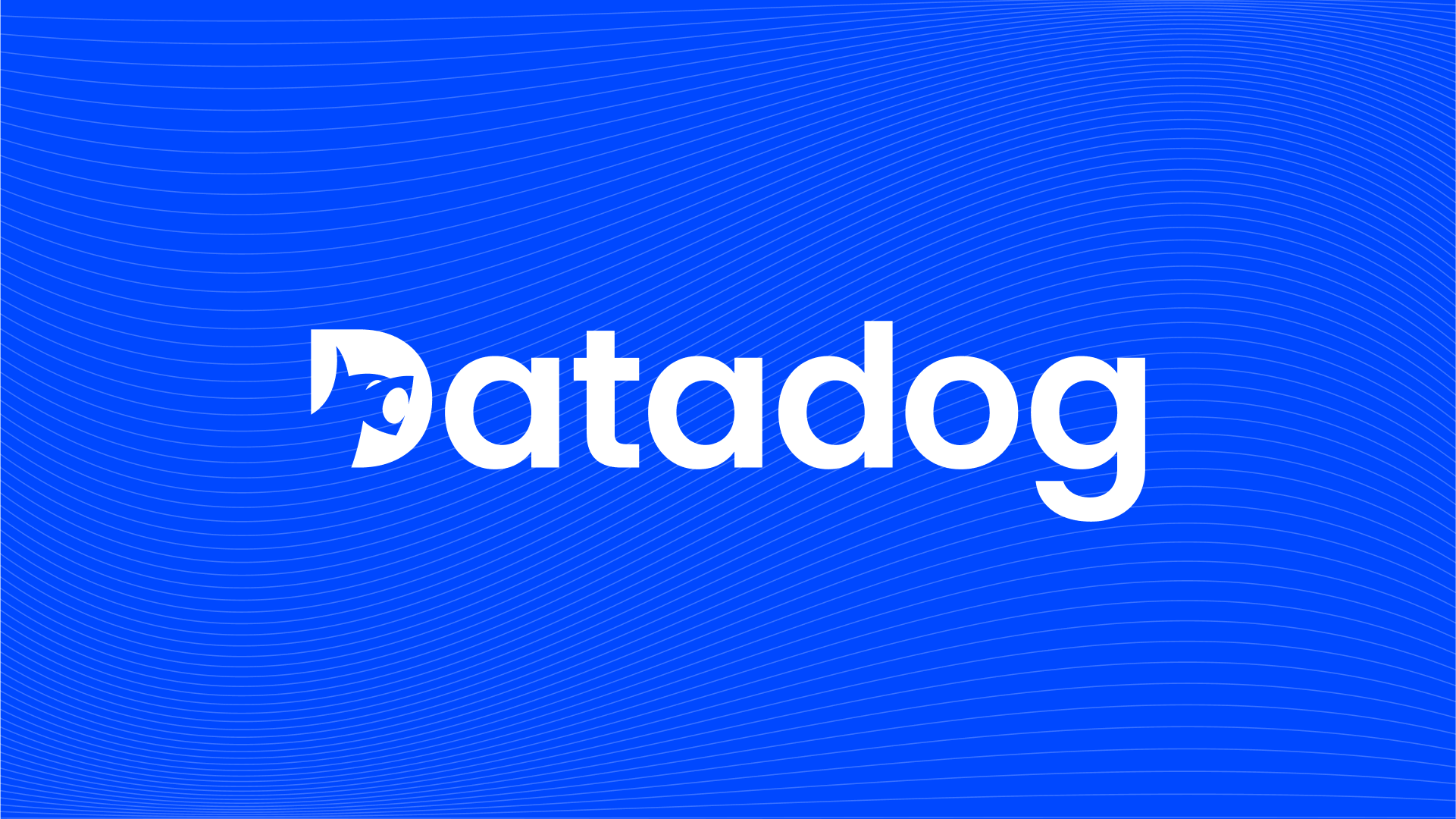 Data Dog project slide 2