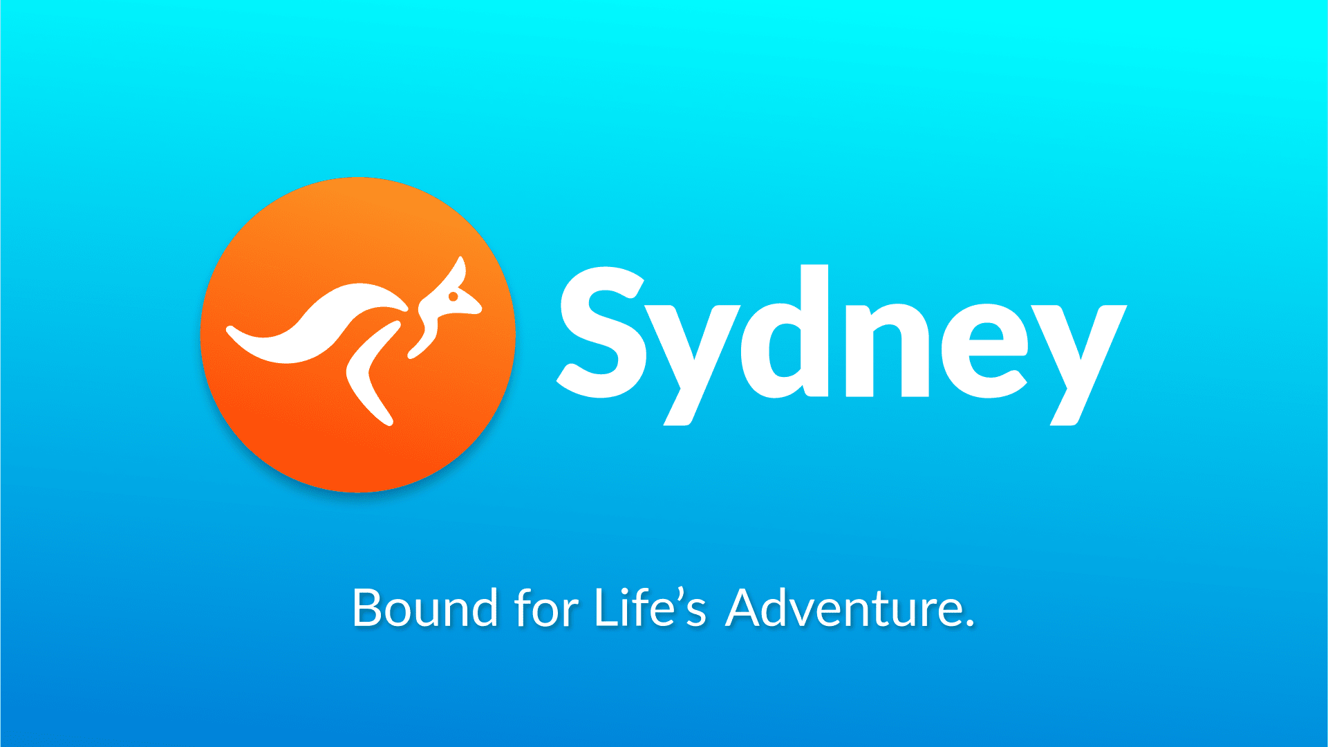 Sydney brand guidelines and color system