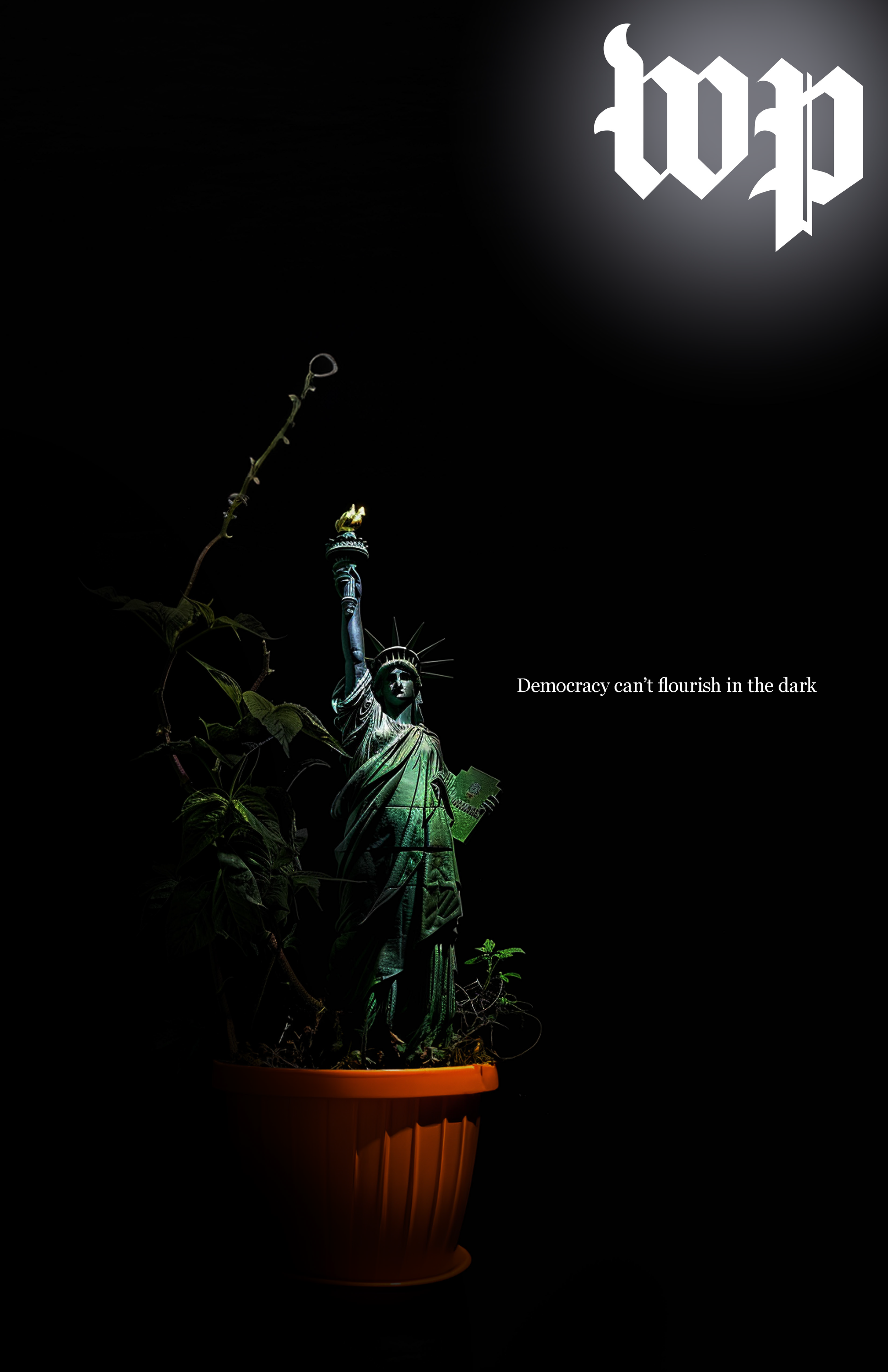 Democracy in the Dark