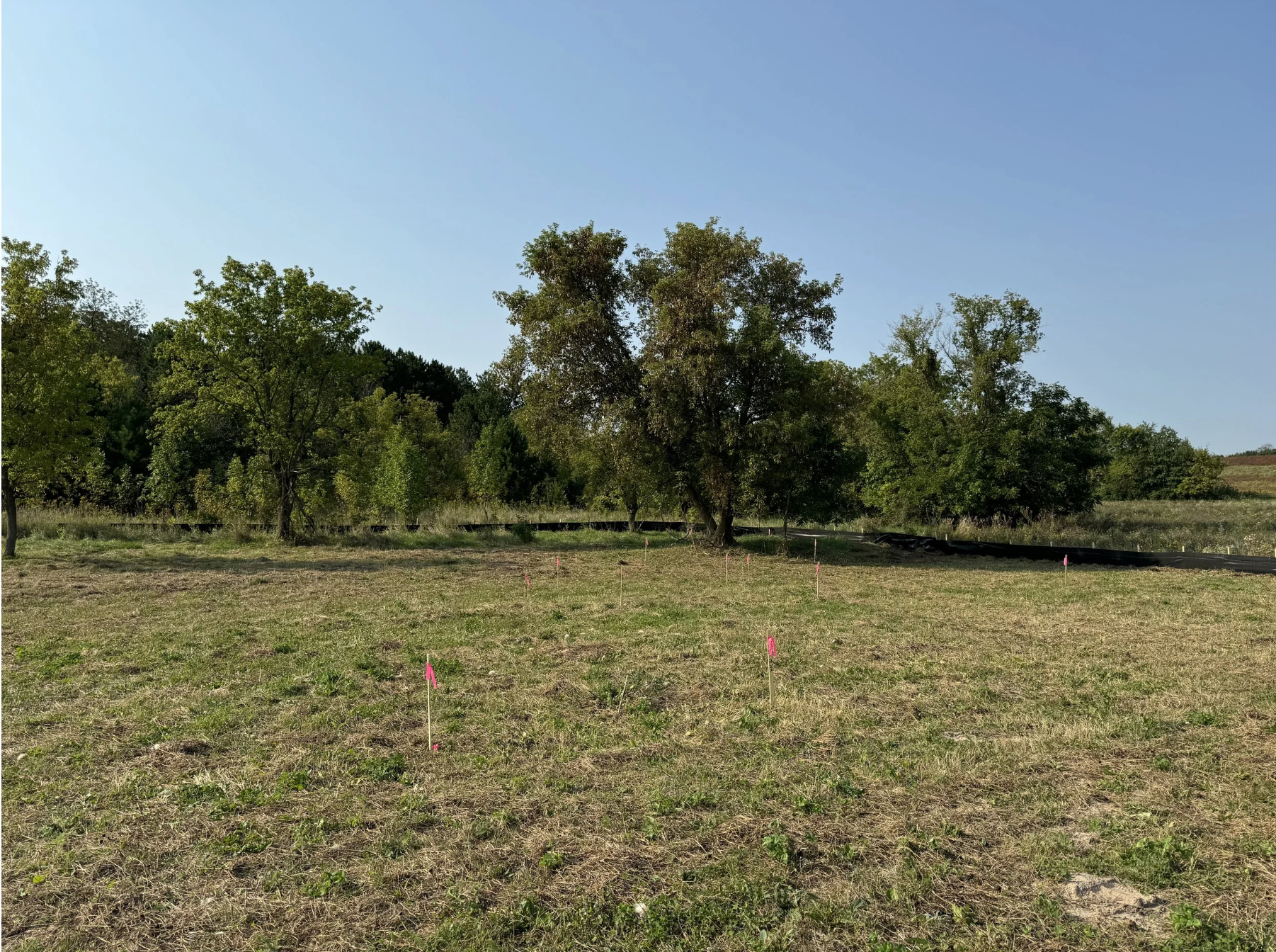 Raw Site Staked Out