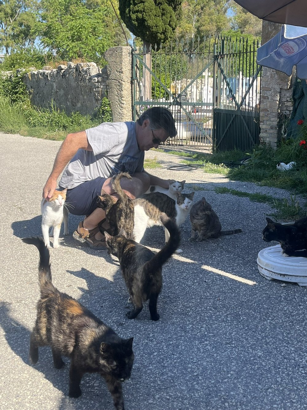 Mark surrounded by cats at the sanctuary