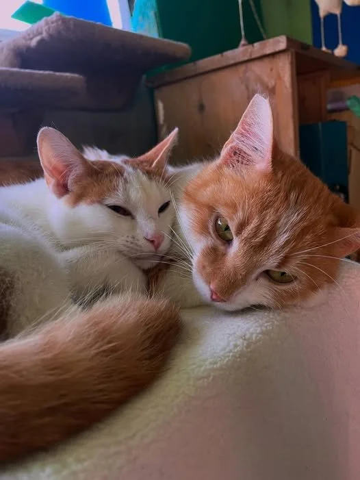 Kiri with her friend Odin