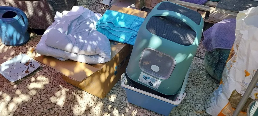 Donated cat food and sanctuary supplies