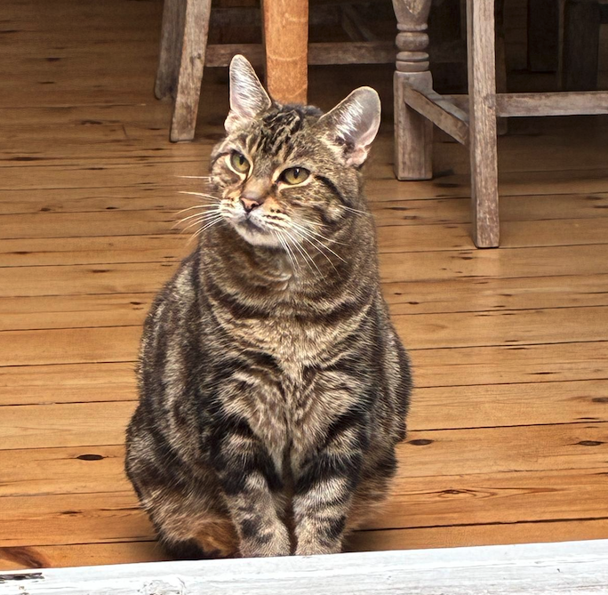 Leonard, who stands in for our anonymous sponsor