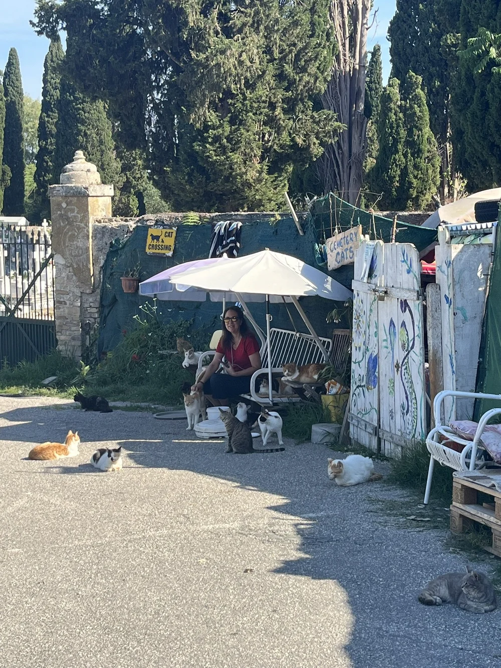 Becky petting cats under the sanctuary umbrella