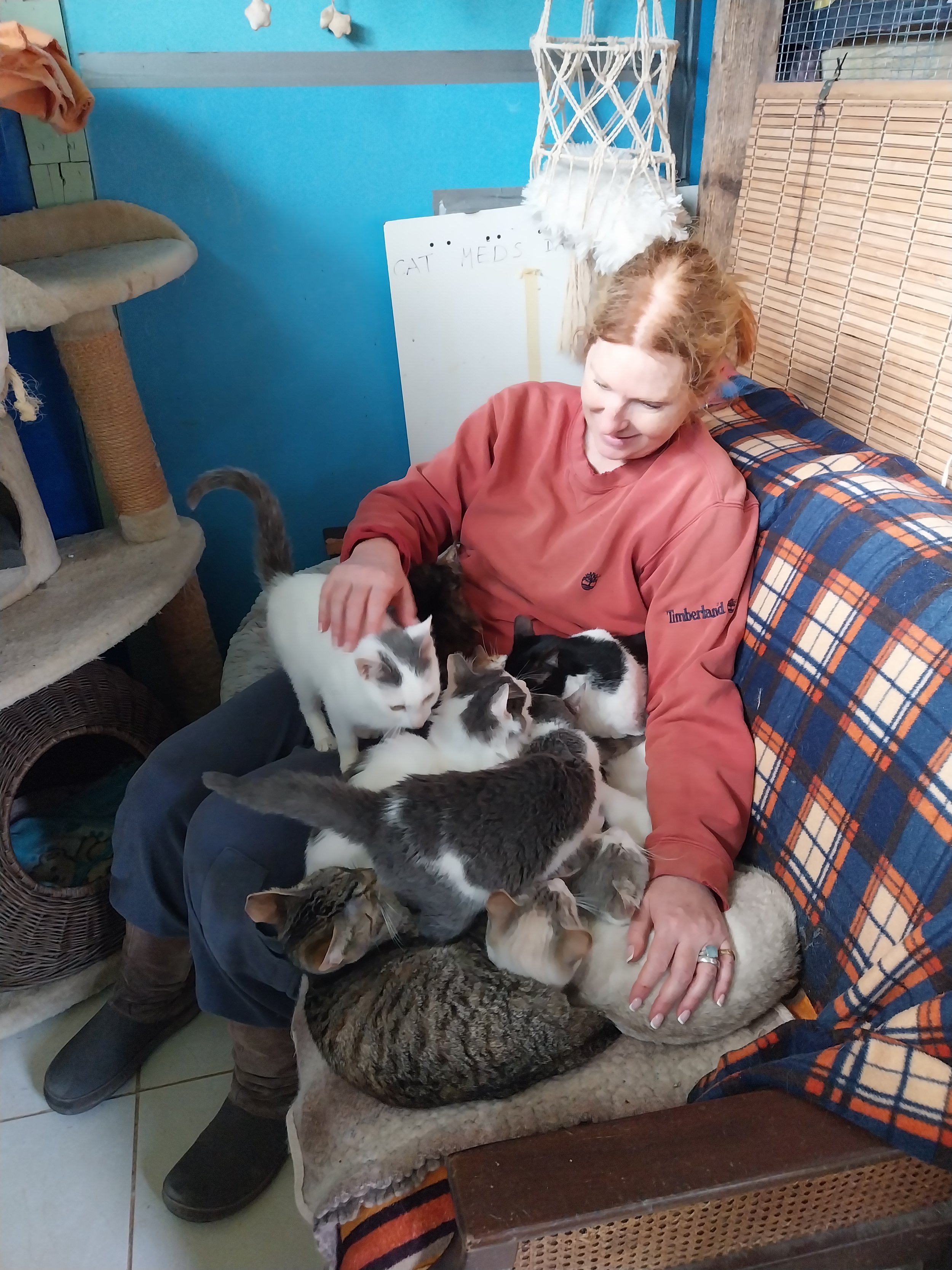 Natushka at the shelter