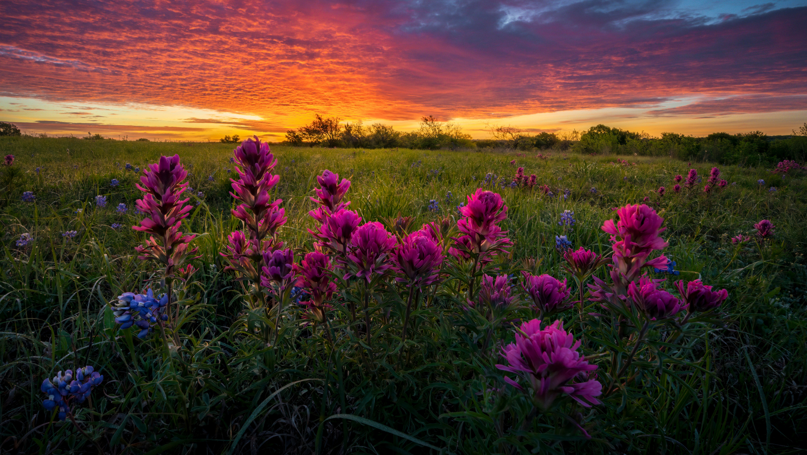 Psychedelic journey held in a sacred container during a couples medicine retreat