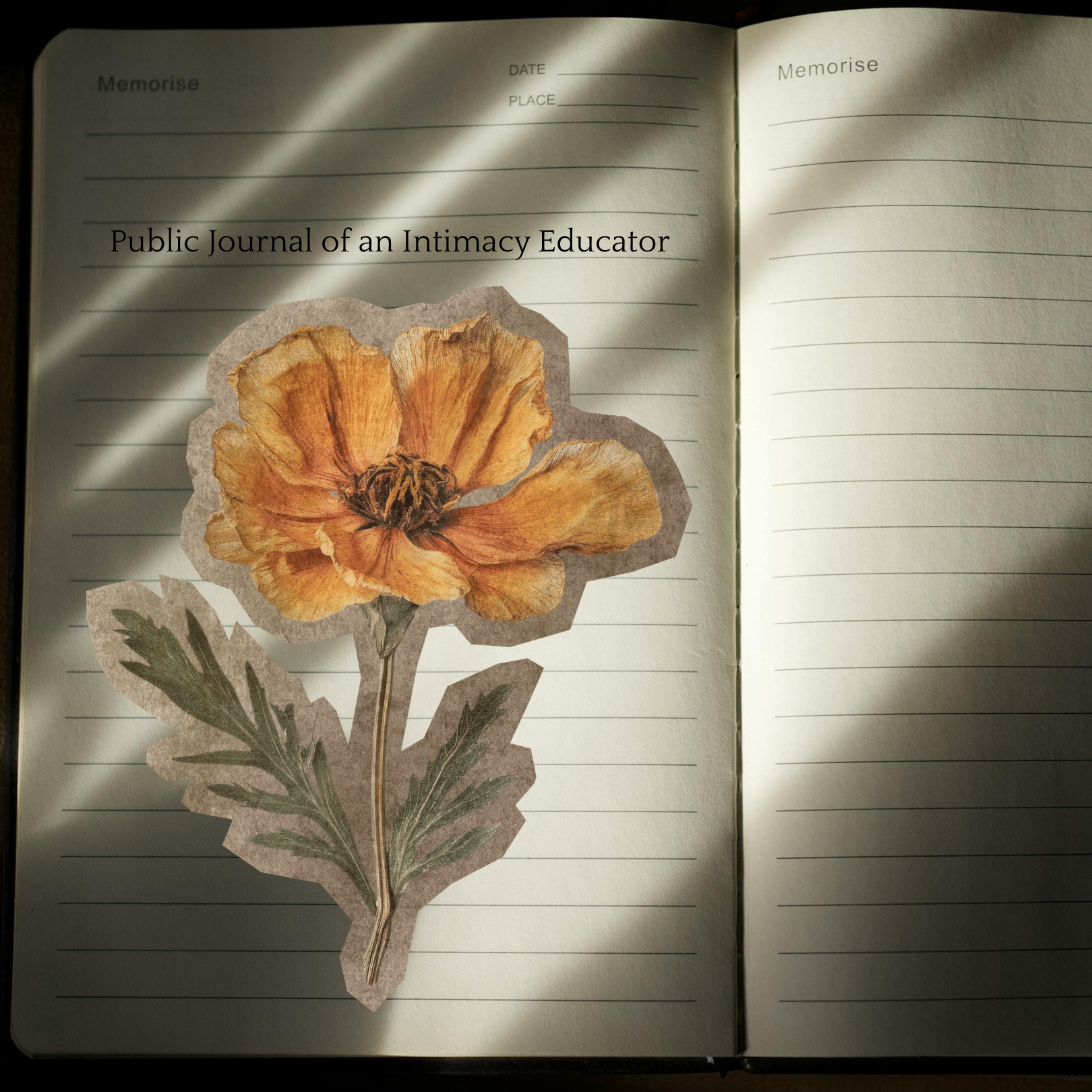 Body Compass Substack