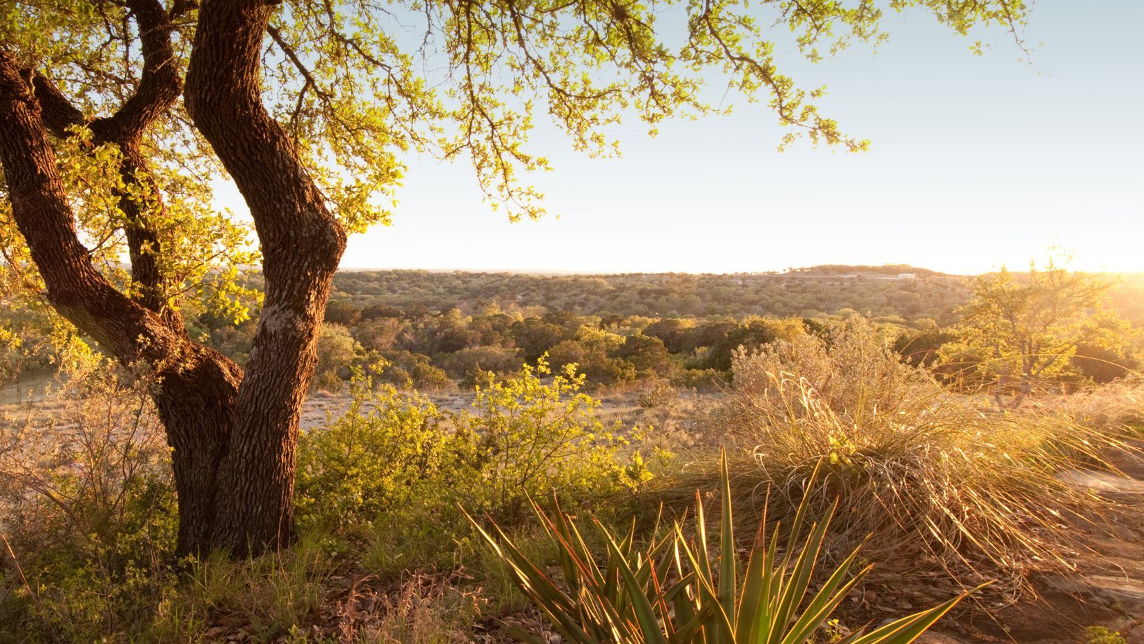 Nature retreat for couples seeking embodied healing and medicine work in Austin Texas