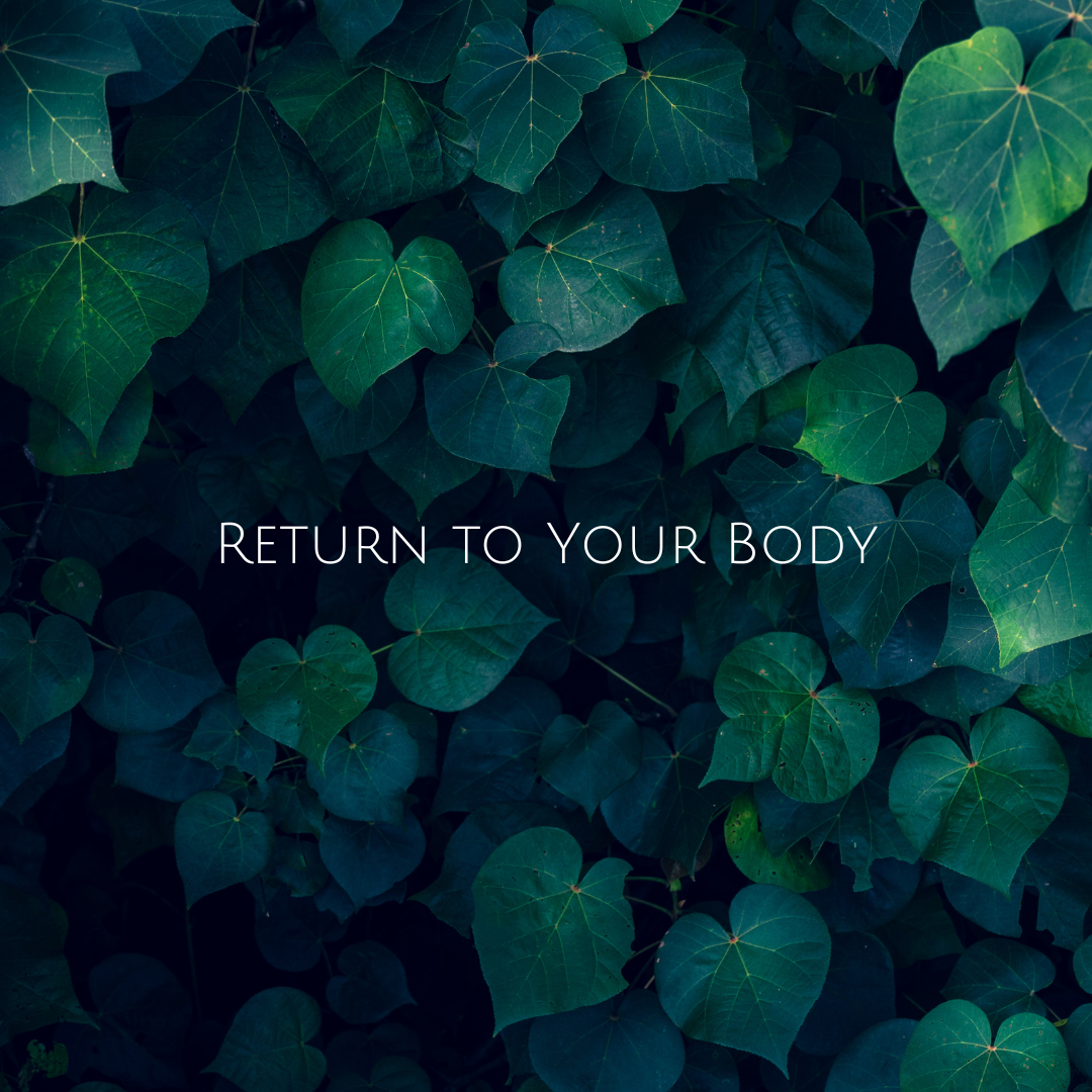 Insight Timer Meditations