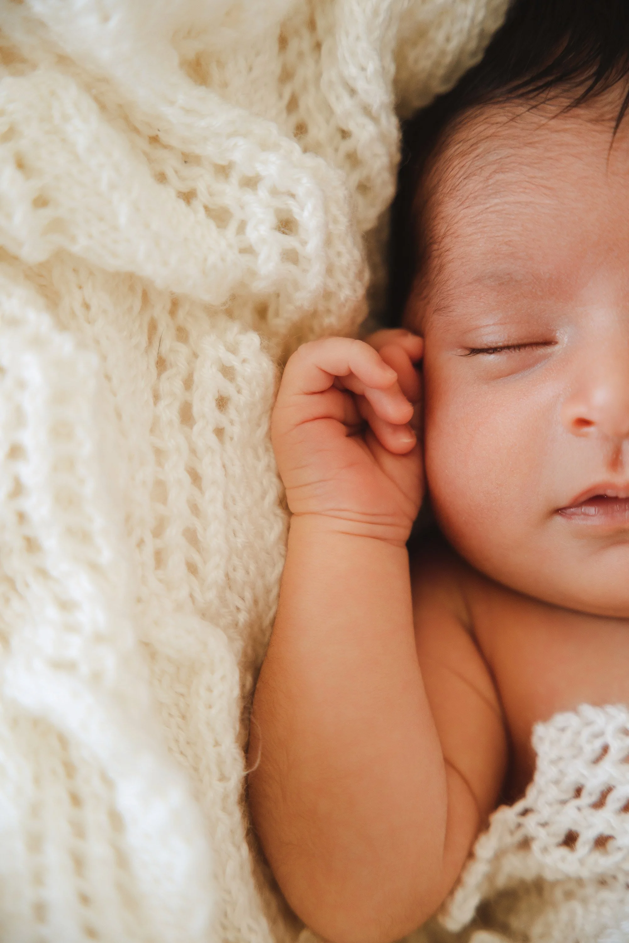 Newborn photographer Brisbane — colour studio portrait at Foxie Studio