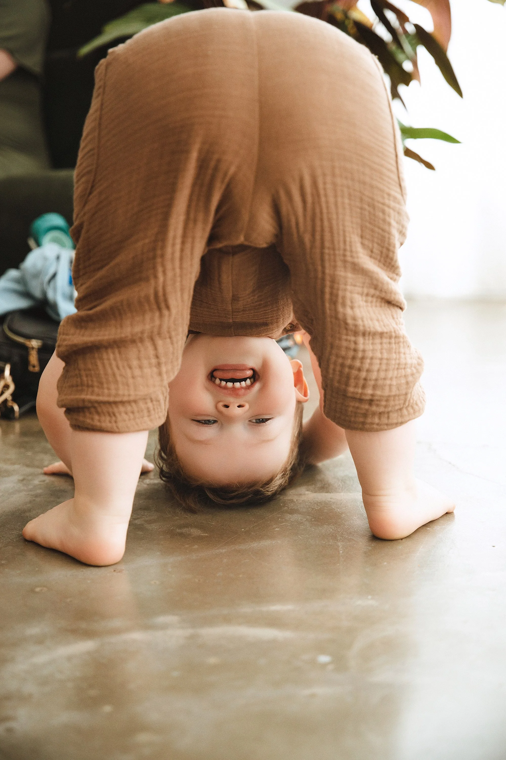 Brisbane family photography — toddler portrait at Foxie Studio