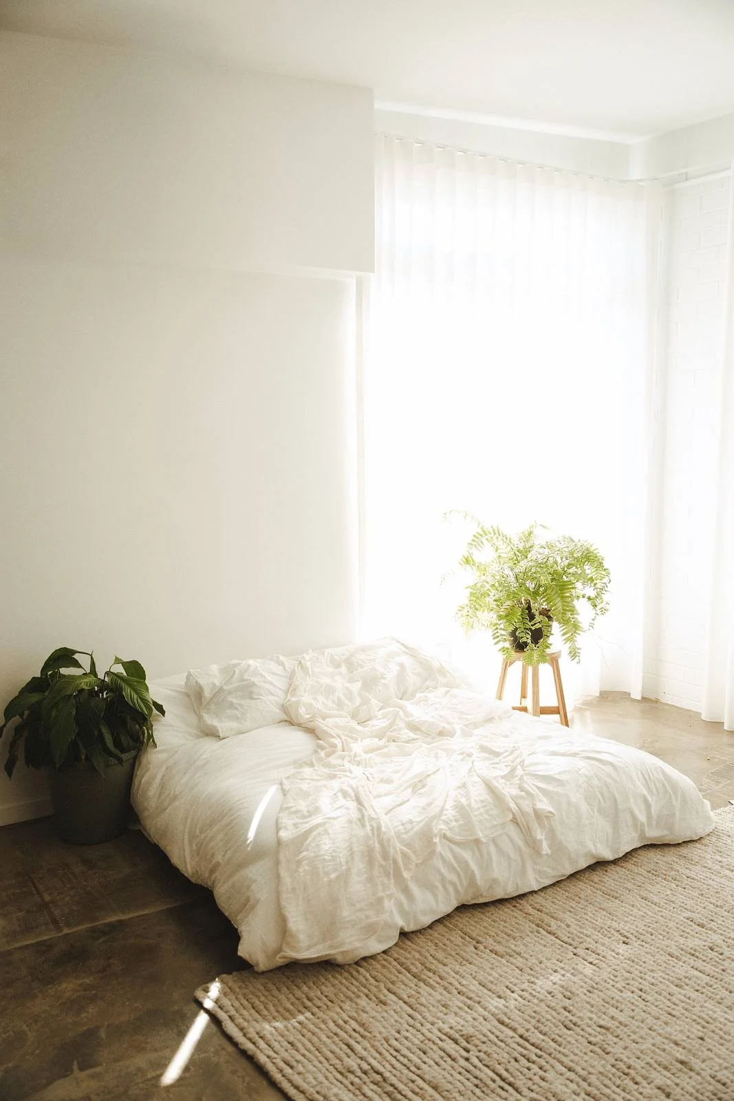 Foxie Studio portrait photography studio interior Gaythorne Brisbane