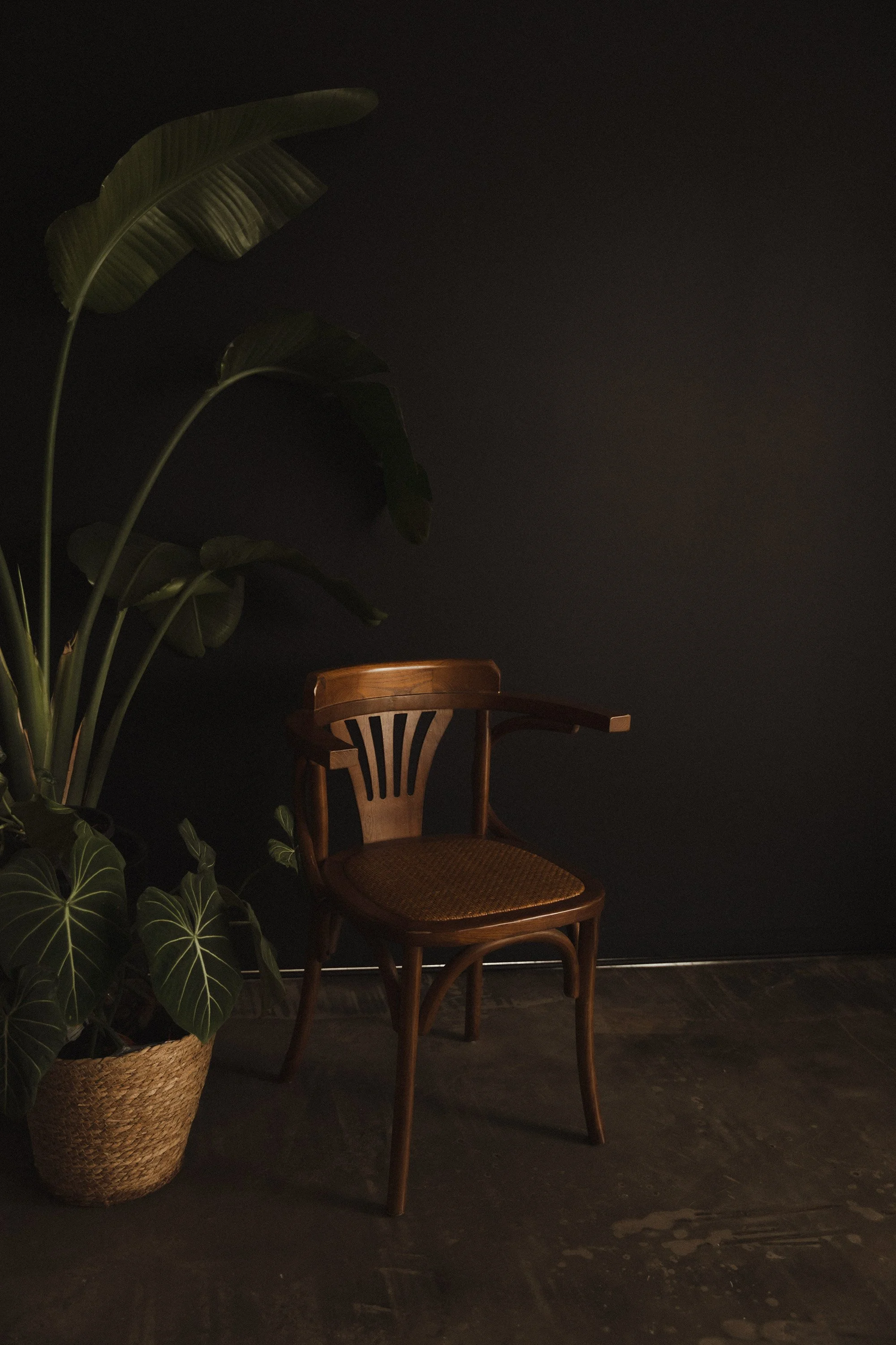 Foxie Studio photography studio Gaythorne Brisbane interior