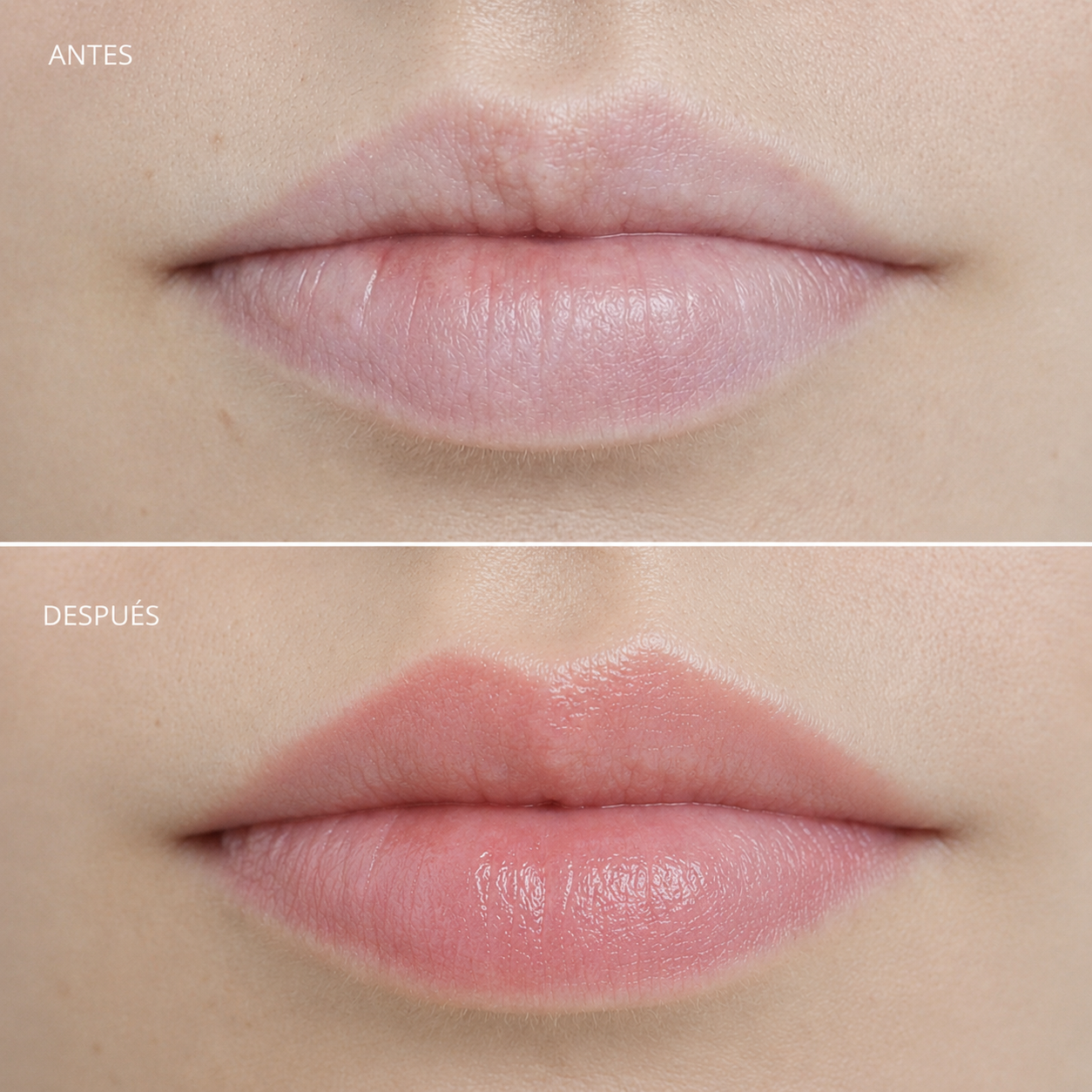 Micropigmentación de labios natural Studio Landi Barcelona
