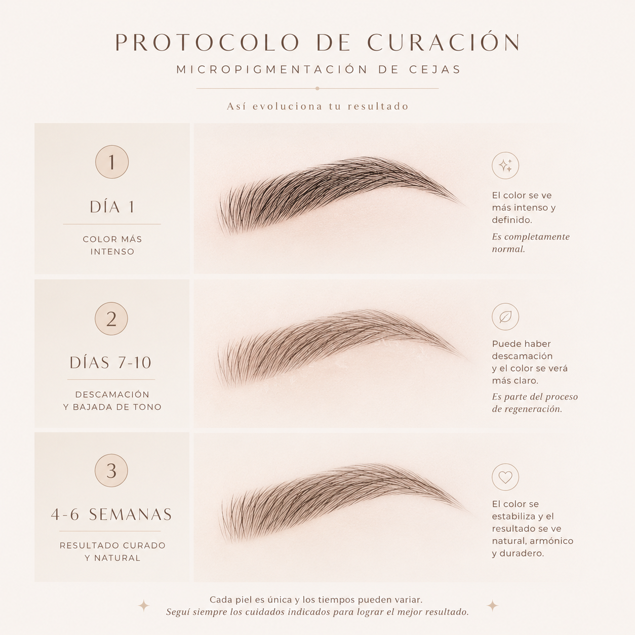 Proceso de curación de micropigmentación de cejas Studio Landi