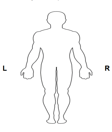 Back body outline