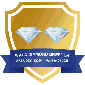 WALA Diamond Breeder badge for Walls Family Doodles