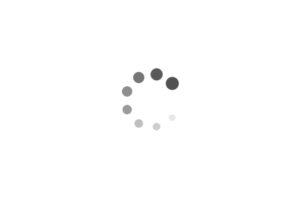 Loading widget...
