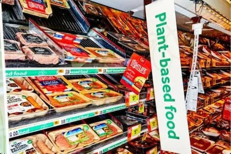 Plant-based products