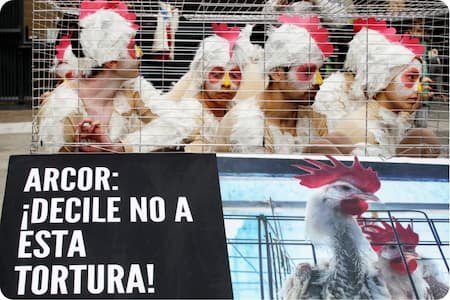 Public demonstration advocated for cage-free eggs