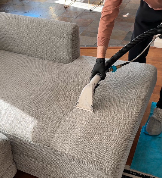 Sofa and carpet cleaning in a San Rafael home