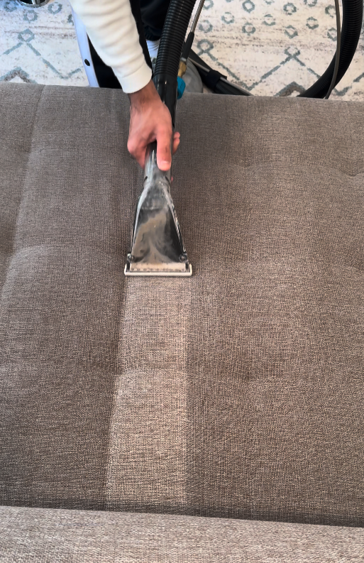 Upholstery and carpet cleaning in a Berkeley home