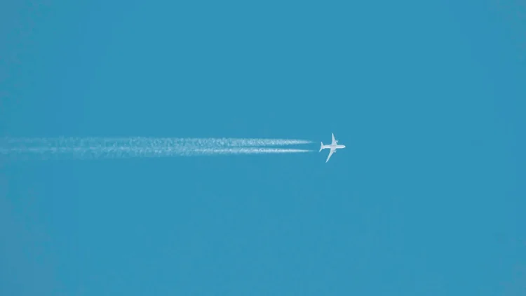 Et fly langt oppe i luften (bildet er tatt nedenfra)