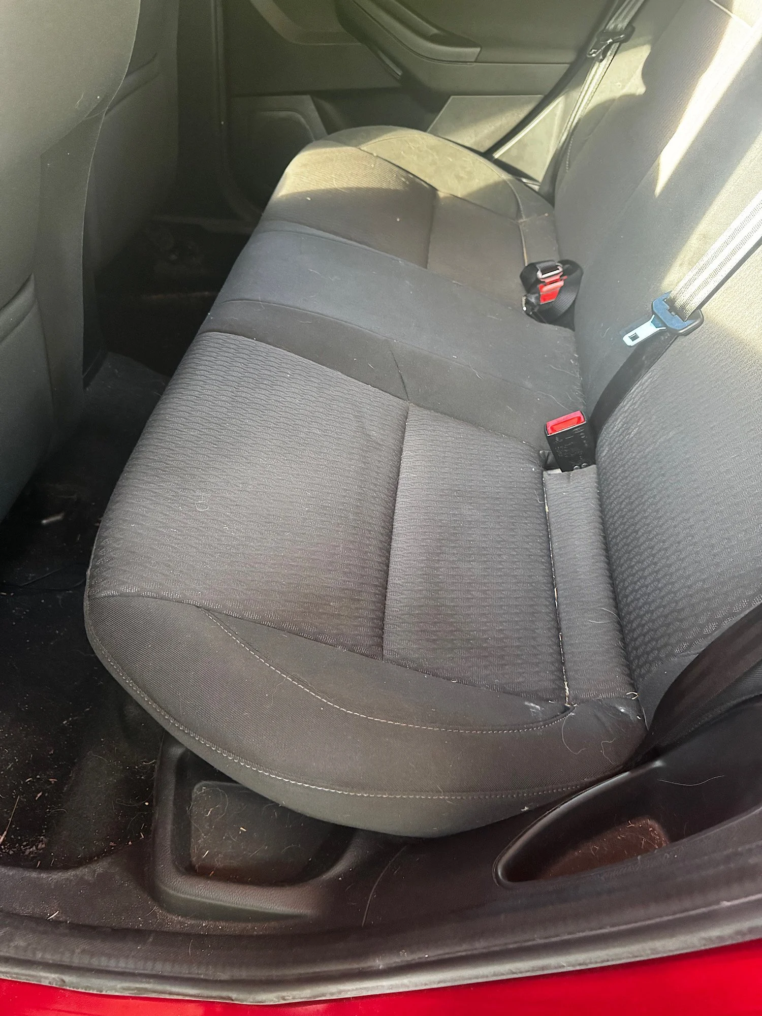 Rear seats before interior detailing with pet hair and dust inside Ford Focus