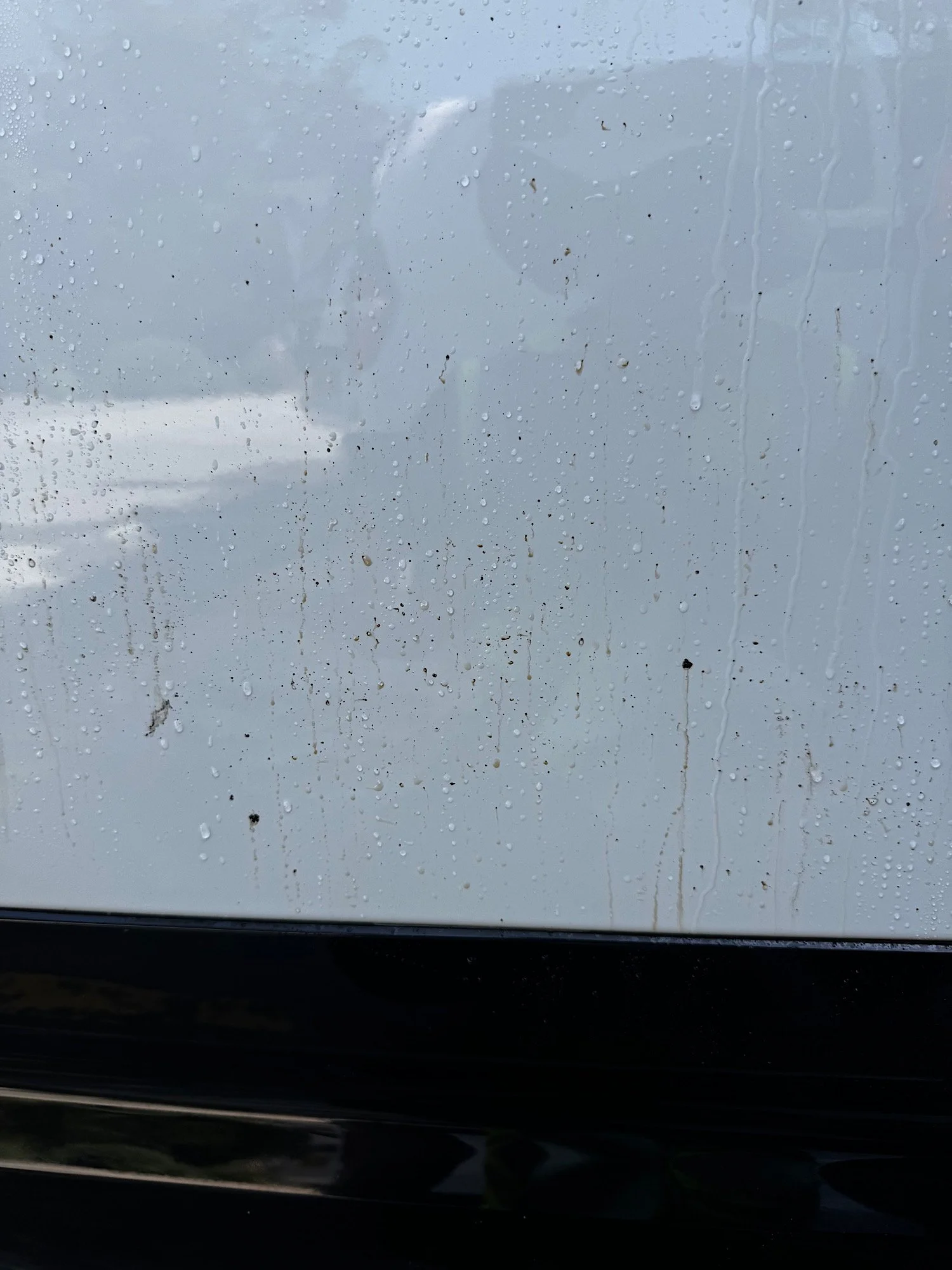 Land Rover Defender paint contamination before detailing showing surface buildup
