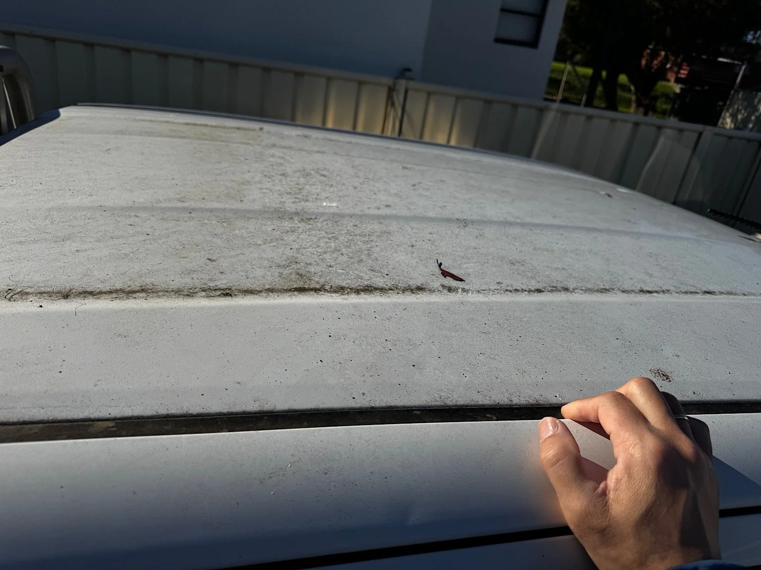 Toyota Hilux roof with heavy grime and paint contamination before detailing